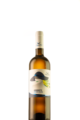 Vino bianco Catarratto IGP Terre Siciliane 2021 - Magaddino | Arswine.it