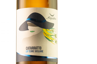 Vino bianco Catarratto IGP Terre Siciliane 2021 - Magaddino | Arswine.it