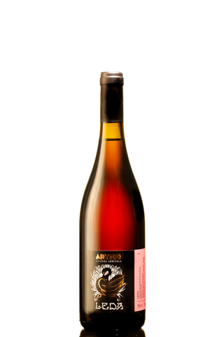 Leda Artico, vino rosato del Lazio, scopri le caratteristiche e prezzi su Arswine.it 