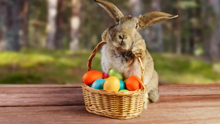 Torniamo bambini con la caccia alle uova di Pasqua!